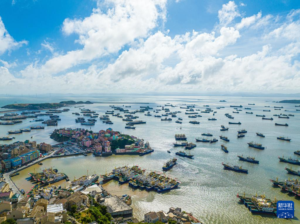 浙江溫嶺：夏日漁港美如畫